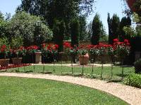 Montecasino Johannesburg (24) 